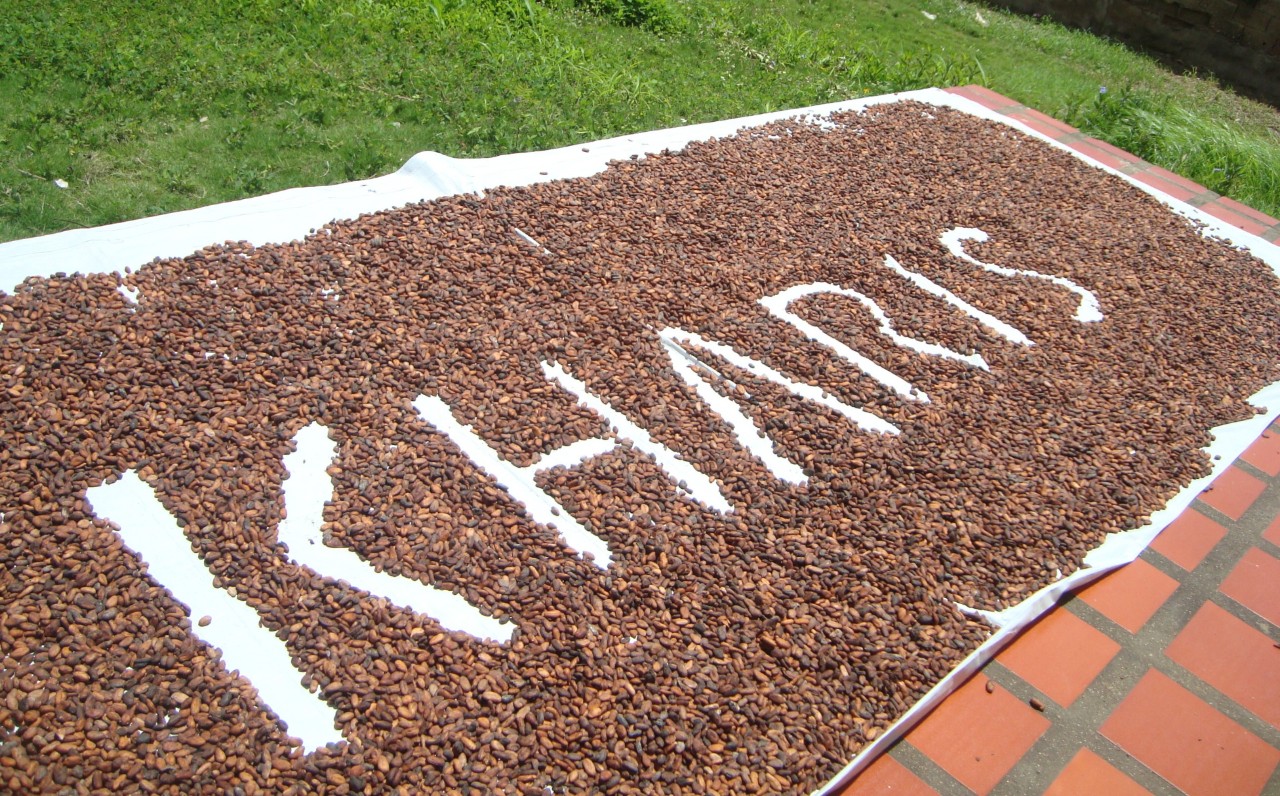 The Church in Venezuela Promotes the Cocoa School Laboratory  